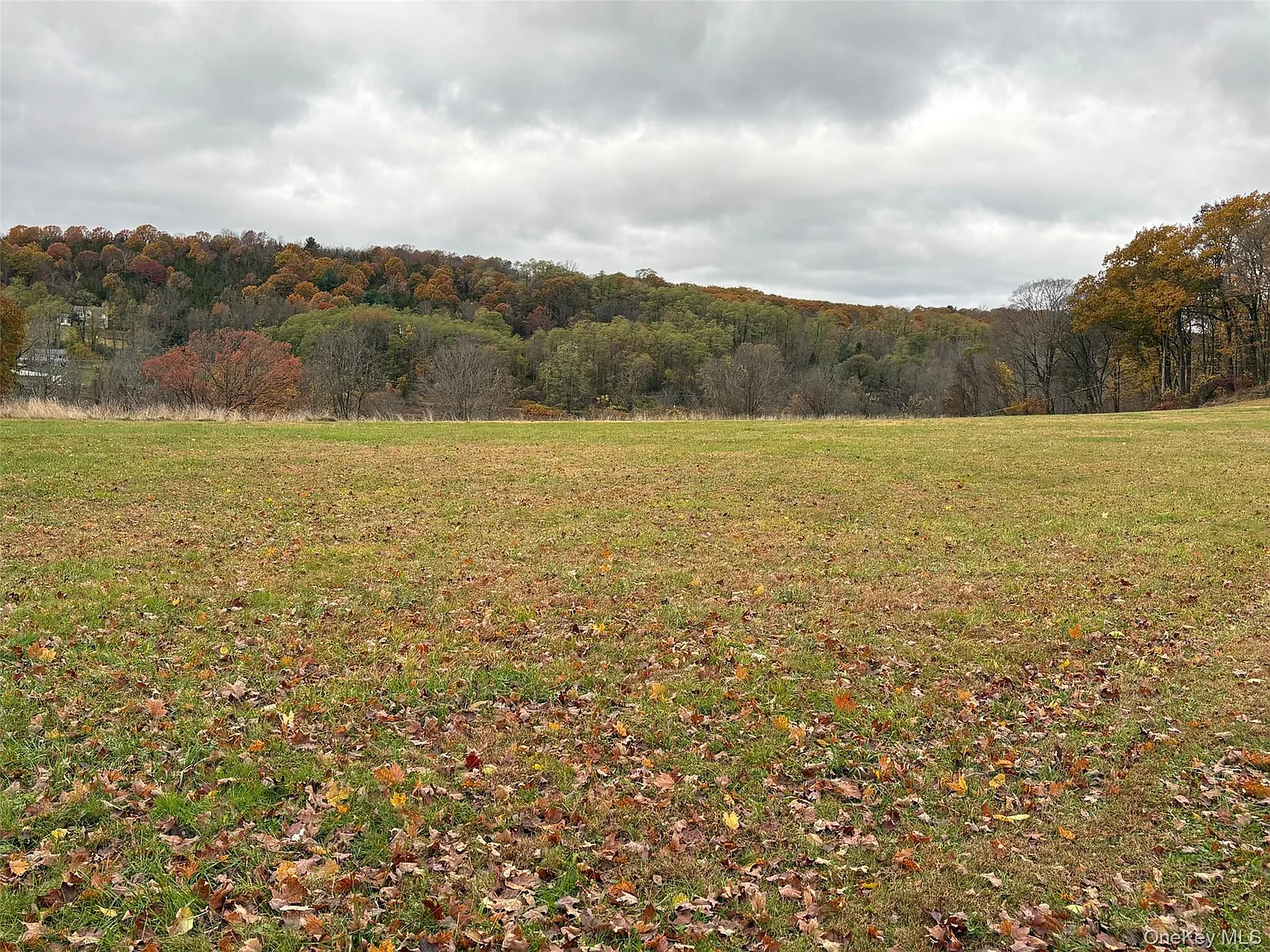 Pleasant Ridge Road photo 1