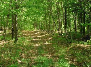 2 Wild River Frst LOT 25, Remsen, NY 13438