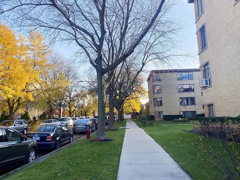 Beautiful and quiet Bell Ave (no passing through traffic)