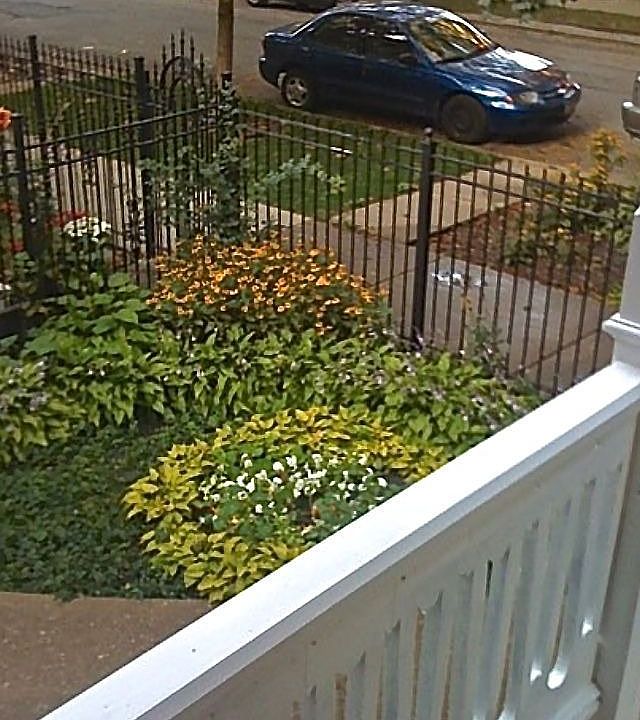 Front Garden