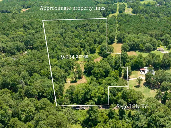 Sego Lily, Diana, TX 75640