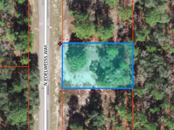 6567 N Edelweiss Way, Citrus Springs, FL 34434