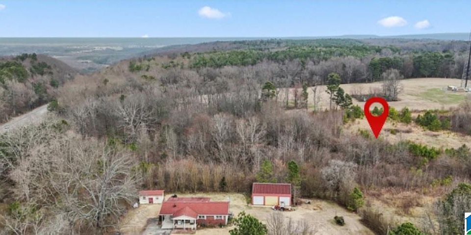 2nd image of 0 County Road 1212 #1
