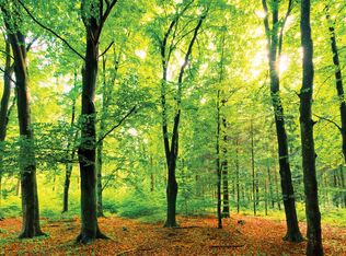 1731 Millstone Rd, Sag Harbor, NY 11963