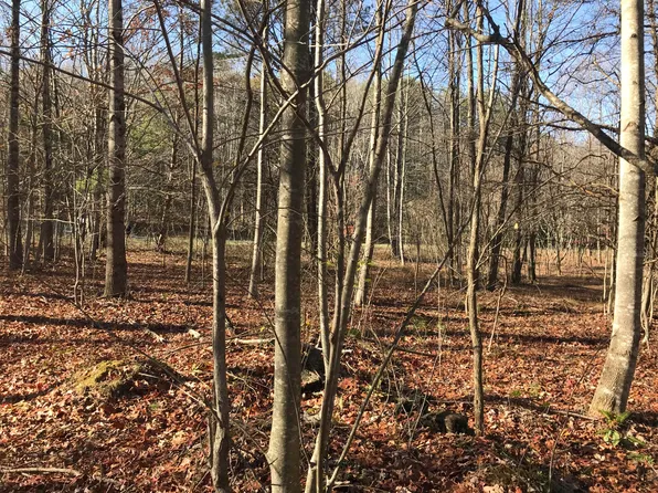 6 Hobbstown Rd, Dunlap, TN 37327