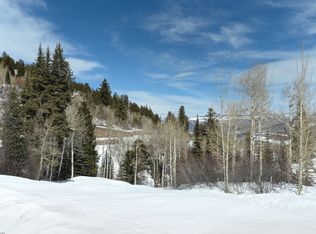 375 Pfister Dr, Aspen, CO 81611