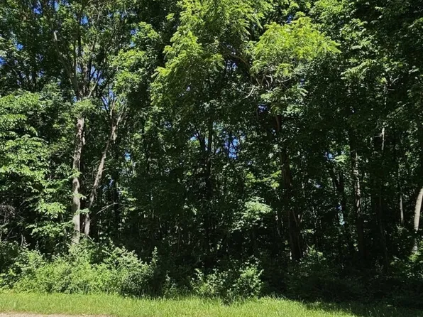 17 Navajo Ct, Putnam, IL 61560