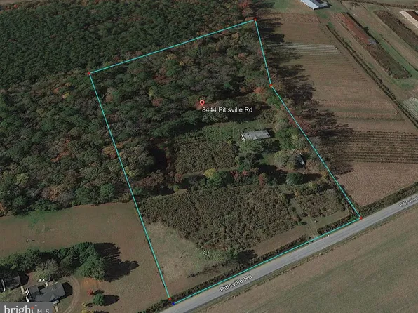 8444 Pittsville Rd, Parsonsburg, MD 21849