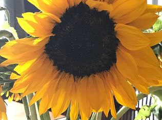 290 Balmoral Dr, Barrington, IL 60010