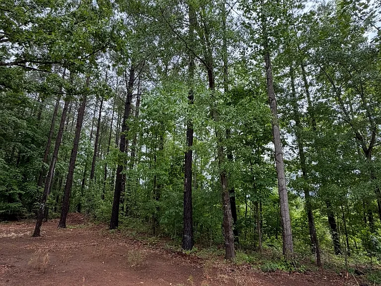 3637 Walhalla Hwy — Photo 13
