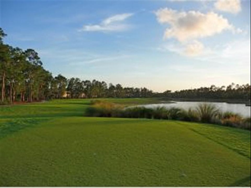 Forest Glen #306