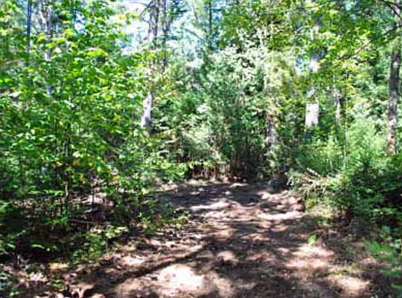 4th image of Lake Placid Club Way