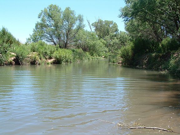 San  Pedro River 5 miles