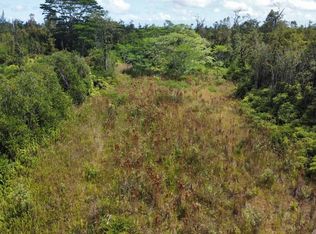 Pikake St, Mountain View, HI 96771