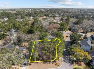 501 Chimney Bluff Dr, Mount Pleasant, SC 29464