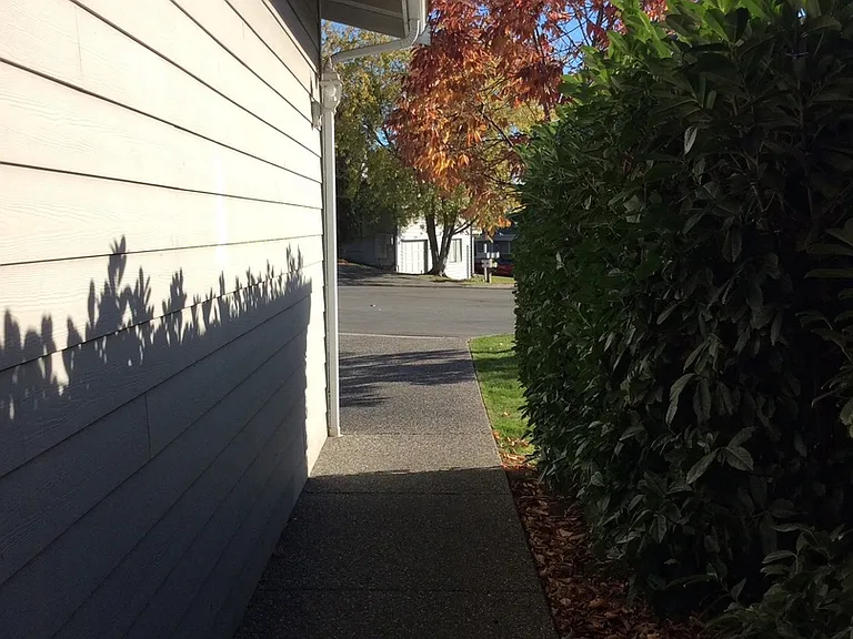 1511 Burrows Ct — Photo 22