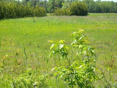 0 Mason St, Morrisonville, NY, 12962
