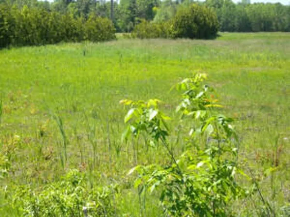 0 Mason St, Morrisonville, NY 12962