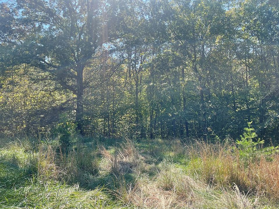 2nd image of 976 Lees Ridge Rd