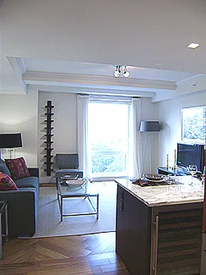 Rented by Saldo Properties | media 3