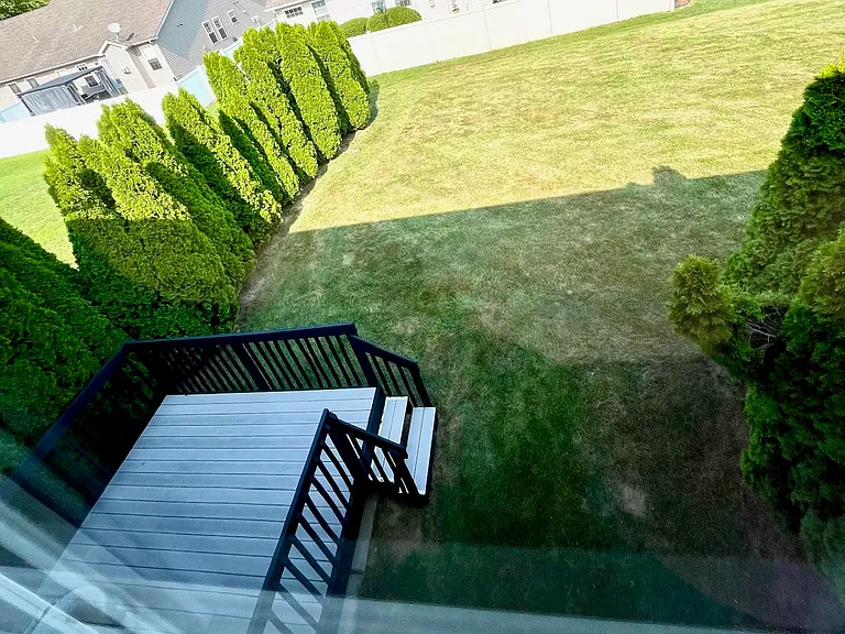 Deck and Back Yard