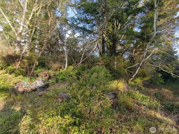 0 247th, Ocean Park, WA 98640