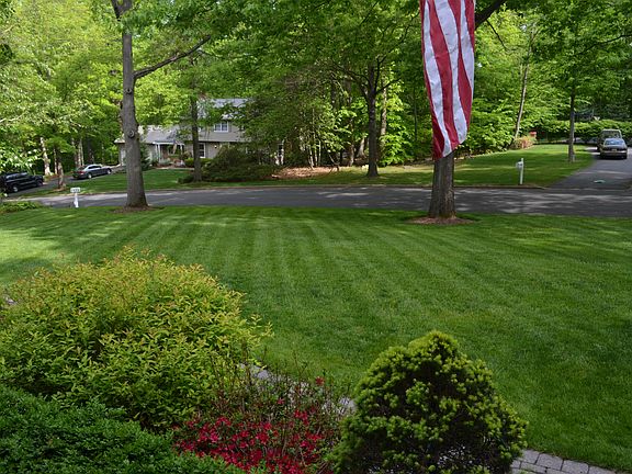Front yard