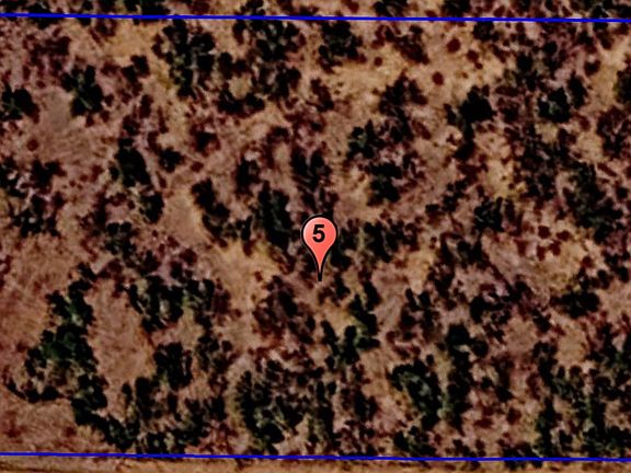 2nd image of County Road 215