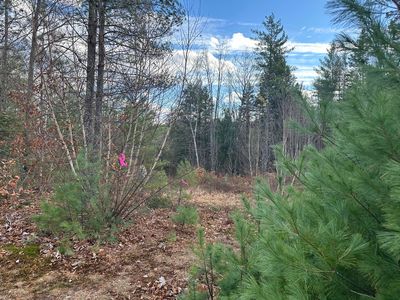 Lot 3 Map 5, Fryeburg, ME, 04037