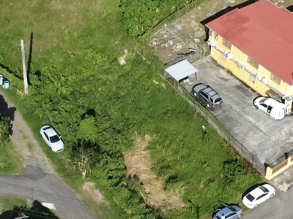 85 Calle Olivo, Lares, PR 00669
