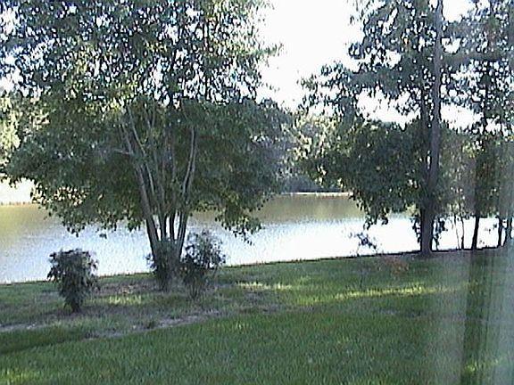 5th image of 23035 Piney Wood Cir