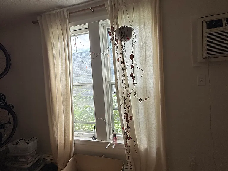 1716 Tyler St NE #2 — Photo 18