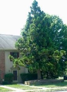408 Brokaw Ct, Bridgewater, NJ, 08807