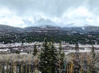 493 Mine Dump Rd, Alma, CO 80420