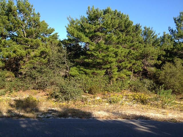 1st image of 18 Mountain Top Dune Dr