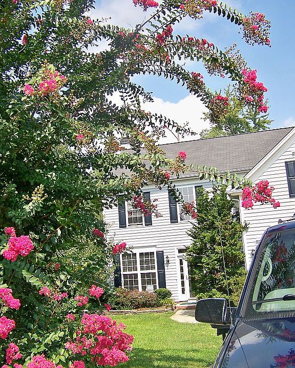 1st image of 4019 Maid Marion Ct