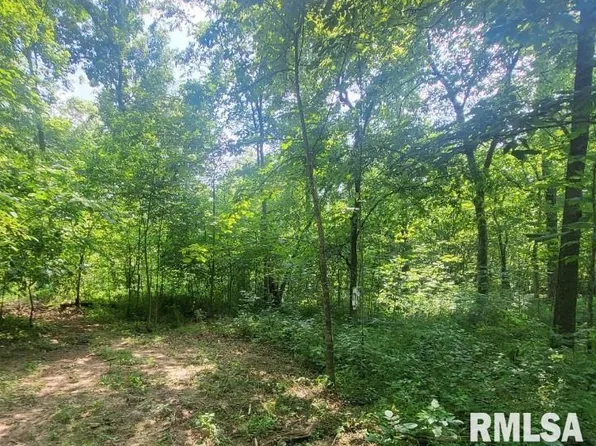 1252 State Highway 15, Fairfield, IL 62837