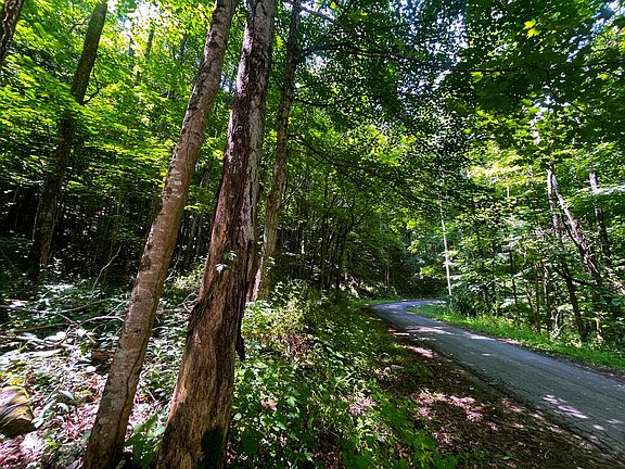 2nd image of Leonard Long Rd