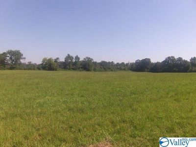 Half Section Line Rd, Albertville, AL, 35950