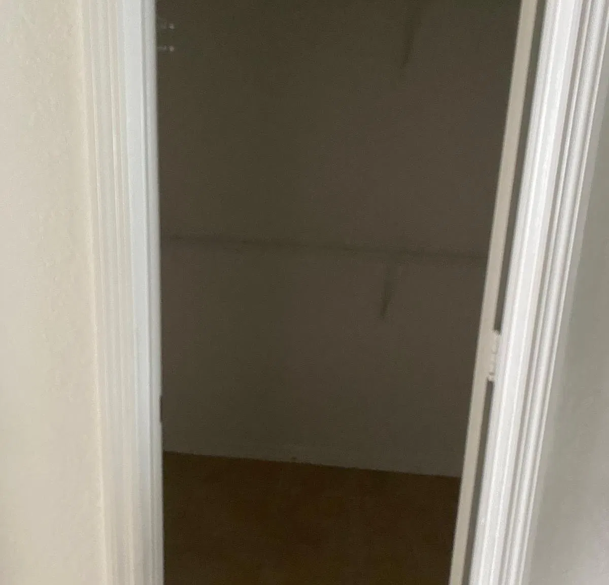 2 bed, 1062 sqft, $1,450 — Photo 2