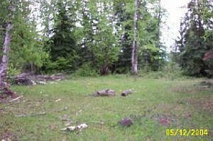 4th image of 0 Lot 1 Hwy #25-N