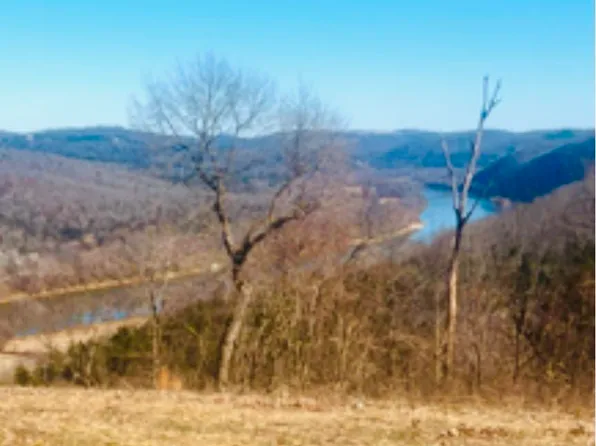 1277 Eagle Point Rd, Mountain View, AR 72560