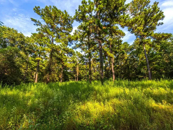 TRACT 11 County Road 4222, Frankston, TX 75763