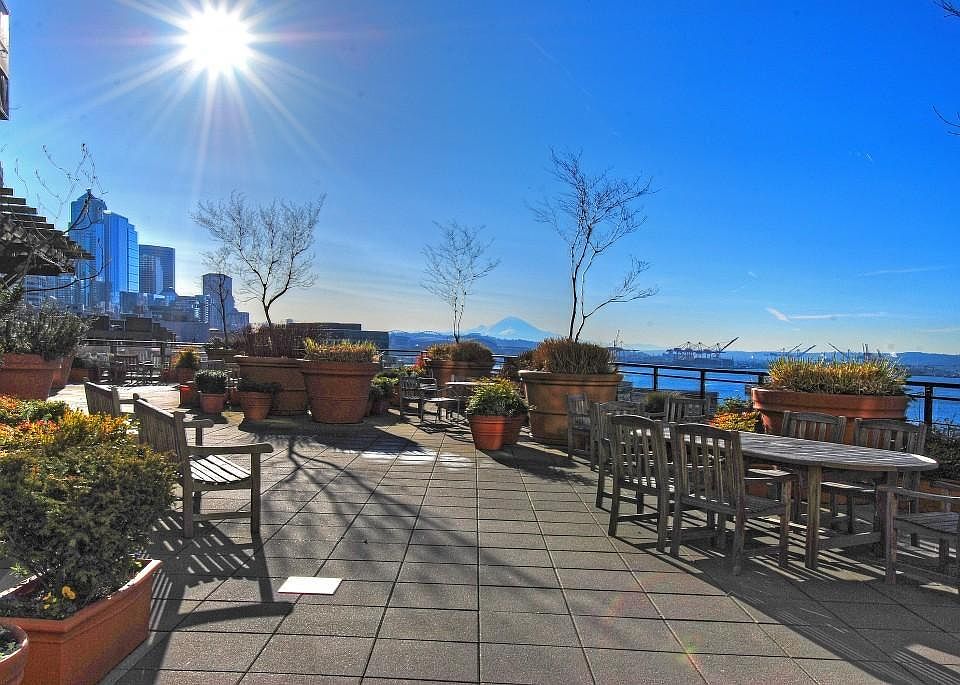 The Vine Building roof top deck