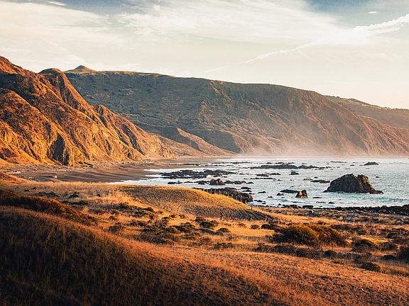 39th image of this home