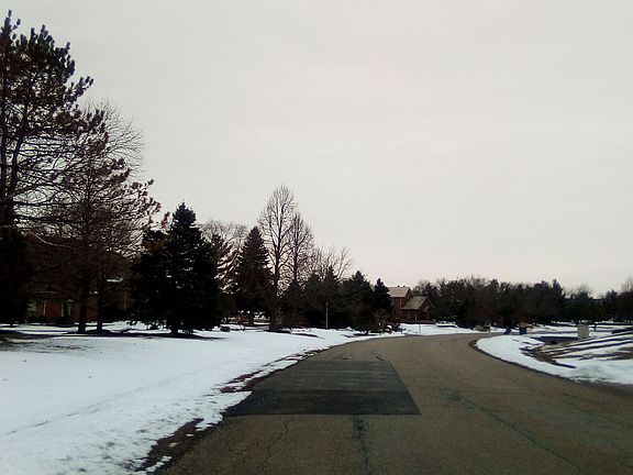 5th image of 36838 N Kimberwick Ln