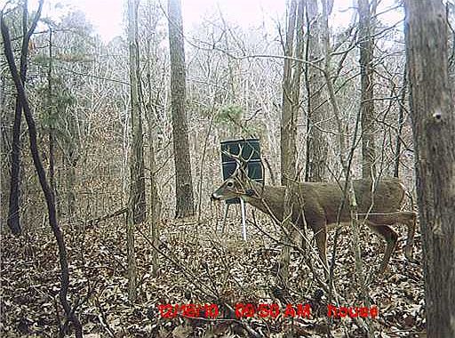 2nd image of 1 Route Chewey Rd