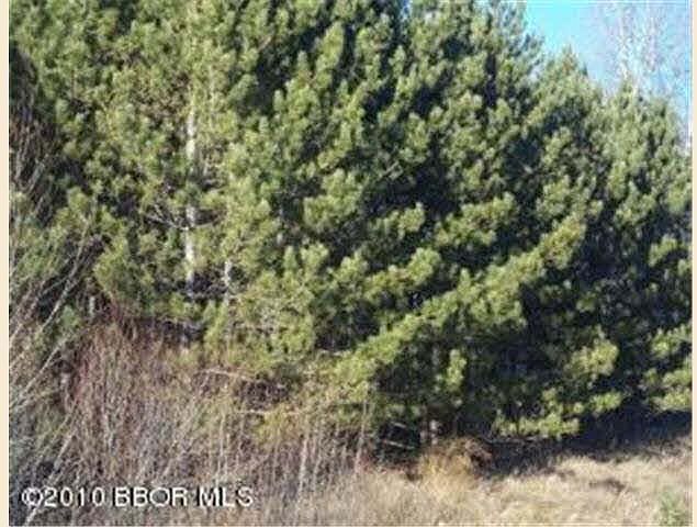 2nd image of HILLCREST Drive NE