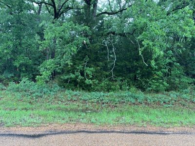 111 Double Bridge Rd, Mabank, TX, 75156