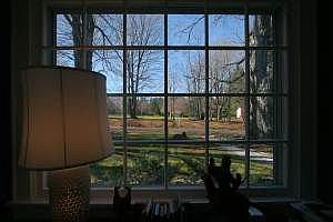 library window